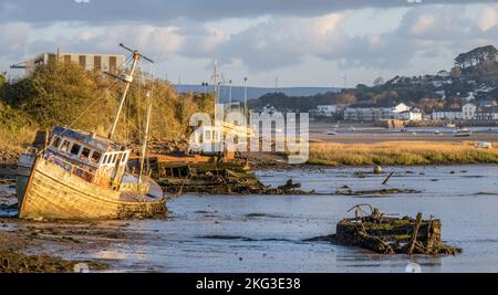 Ships, wrecks of boat on River Torridge Estuary near Appledore, Devon in morning light. Stock Photo