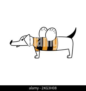 A comic cartoon dog stands in a funny striped bee costume. Simple isolated flat illustration with dachshund character. Cool mascot for stickers, logos Stock Vector