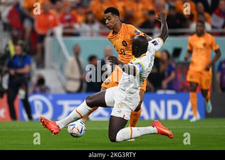Doha, Qatar. 21st Nov, 2022. Soccer: World Cup, Senegal - Netherlands, Preliminary Round, Group A, Matchday 1, Al-Thumama Stadium, Cody Gakpo of the Netherlands in a duel with Senegal's Cheikhou Kouyaté. Credit: Federico Gambarini/dpa/Alamy Live News Stock Photo