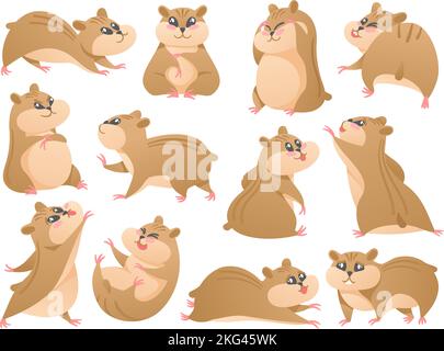 Cartoon hamsters. Cute pet in different poses, fluffy rodent and hamster mascot isolated vector Illustration set Stock Vector