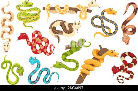 Cartoon snakes in various poses. Anaconda mascot, cute snake and funny tropical reptile vector characters set Stock Vector