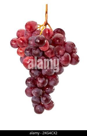 Bunch of fresh red ripe grapes isolated on white, clipping path Stock Photo