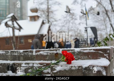 KYIV, UKRAINE - NOVEMBER 21, 2022 - Red carnations are pictured during the remembrance event for the Heavenly Hundred Heroes at the Ecumenical Church Stock Photo