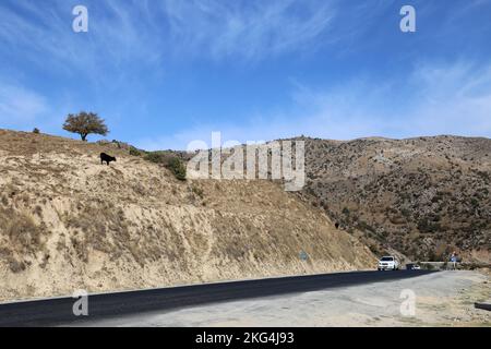 Tahtakaracha Pass, Zarafshon Range, Pamir Alay mountains, Samarkand Province, Uzbekistan, Central Asia Stock Photo