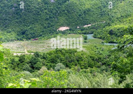 Rural vineyards in Tskhenistsqali river valley in Racha region in Georgia with lush green forests around. Stock Photo