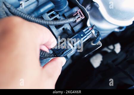 Technician inserting the alternator or generator plug of the car in the engine compartment, automotive parts concept Stock Photo