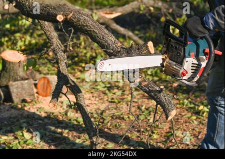 professional chainsaw cuts firewoods. Close-up. sawing wood Stock Photo