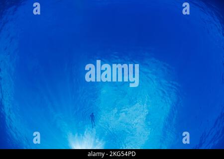 The view from underwater looking directly up at the silhouette of a lone snorkeler on the surface of the Pacific Ocean, Hawaii, USA. Stock Photo