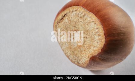 Hazelnuts isolated on white background with clipping path Stock Photo