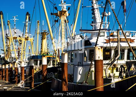 Fishing ships in the harbor of Oudeschild Texel the Netherlands. Visserschepen in de haven van Oudeschild Texel. Stock Photo