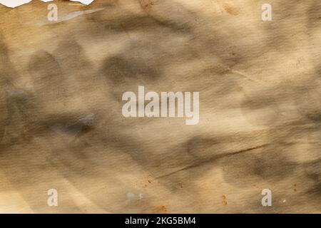 Burned and stained piece of paper with copy space on white background Stock Photo