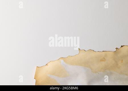 Burned and stained piece of paper with copy space on white background Stock Photo