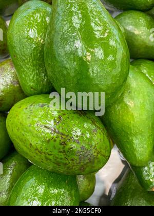 Avocado are very nutritious, contains variety of nutrients, green avocado on the table, background, central American, avocado from Mexico, closeup Stock Photo