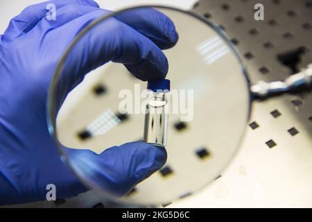 The hand of an expert in a rubber glove holds a vial under a magnifying glass Stock Photo
