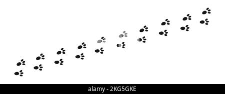 Bunny pawprints. Rabbit paw stamps. Trace of wet or mud steps of running or walking hare isolated on white background. Vector graphic illustration. Stock Vector