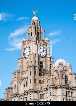 Street scene in Liverpool  looking towards the Royal Liver Building one of the Three Graces that dominate Pier Head area overlooking the River Mersey Stock Photo