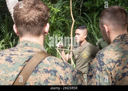 Reconnaissance Ph A Philippine reconnaissance Marine demonstrates how to set a bird trap ...
