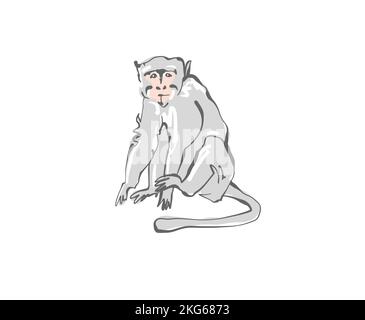 Bali gray monkey in flat style, vector illustration Stock Vector