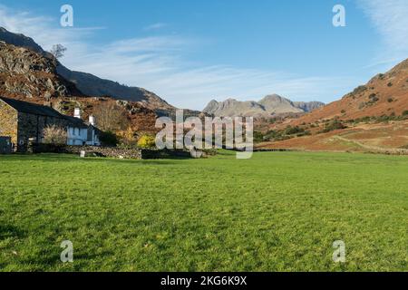 Green grassy field and Fell Foot Farm in Little Langdale with the Langdale Pikes mountain range in the distance, English Lake District, Cumbria, UK Stock Photo