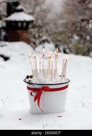 Beautiful winter garden arrangement with many white burning candles in a white enamel bucket on snow background. Easy outdoor Christmas decoration Stock Photo