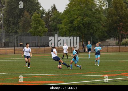 Children soccer players playing game. Young girls soccer players participating in local championship on grass football field-Surrey BC Canada-October Stock Photo