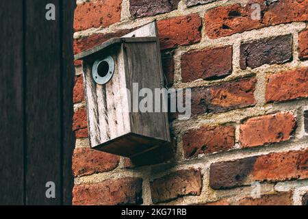 Old wooden nesting box bird house on the wall, selective focus Stock Photo