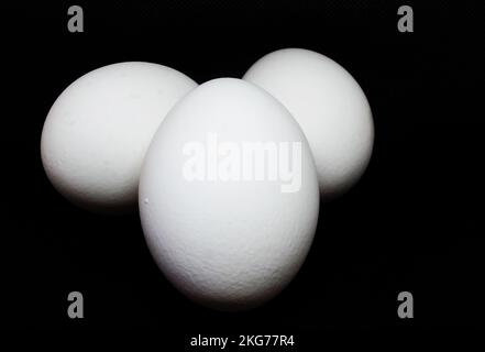 three chicken eggs against a black background Stock Photo