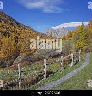 France, Hautes-Alpes, Névache, landscape in autumn, Clarée valley, natural site classified Stock Photo