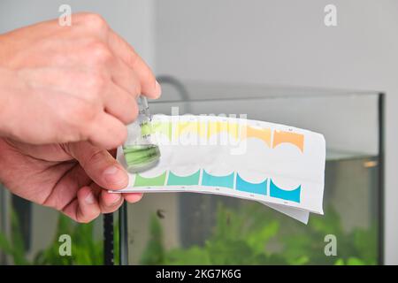 Hands holding neutral pH test in front of freshwater aquarium. Stock Photo