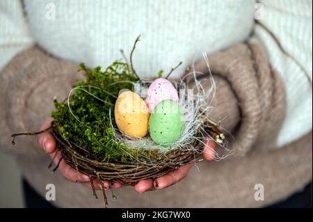 nest with an colorful easter eggs in female hands, Easter decor in rustic style Stock Photo