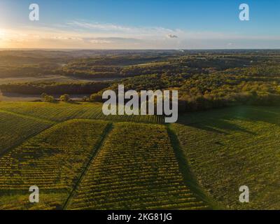 Aerial view Bordeaux Vineyard and forest at sunrise, film by drone in autumn, Entre deux mers Stock Photo