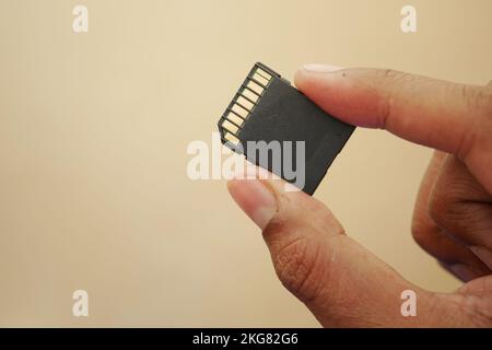 hand hold SD memory card, Stock Photo