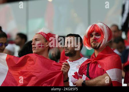 Doha, Qatar. 22nd Nov, 2022. 11/22/2022, Education City Stadium, Doha, QAT, World Cup FIFA 2022, Group D, Denmark vs Tunisia, in the picture Danish fans celebrate in the stands. Credit: dpa picture alliance/Alamy Live News Stock Photo