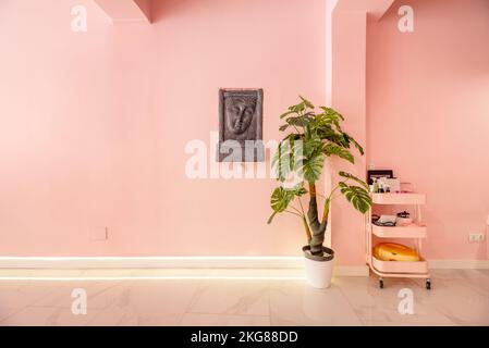 A beauty salon business with shiny marble floors, hot pink walls, faux decorative plants, and a decorative black stone fountain Stock Photo