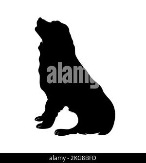 A simple vector illustration of a Bernese mountain dog Stock Vector