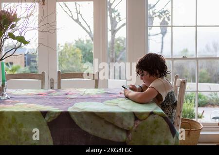 Boy (8-9) using smart phone in dining room Stock Photo
