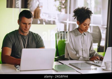 Two concentrated office workers working on their notebook computers Stock Photo