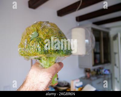 Hand holding broccoli inside modern kitchen - wrapped in plastic protection film Stock Photo