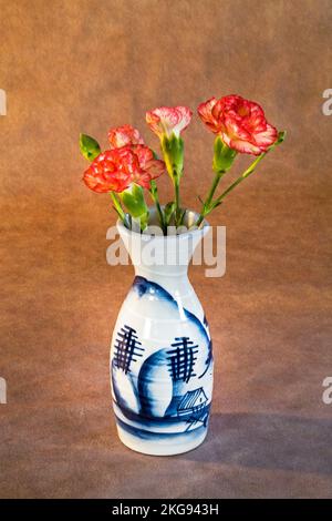 A vase of carnations on a dark background. Stock Photo