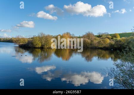 The view at Langford Lakes, Duck Street, Steeple Langford, Salisbury, Wiltshire, UK, during the avian flu or influenza outbreak, Autumn 2022. Stock Photo