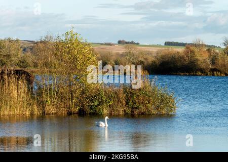 The view at Langford Lakes, Duck Street, Steeple Langford, Salisbury, Wiltshire, UK, during the avian flu or influenza outbreak, Autumn 2022. Stock Photo