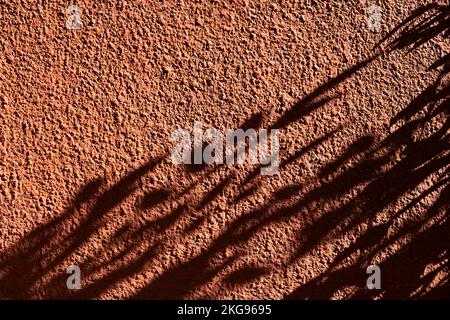 Abstract black shadow background of natural leaves tree branch falling on red cement wall texture for background and wallpaper, Stock Photo