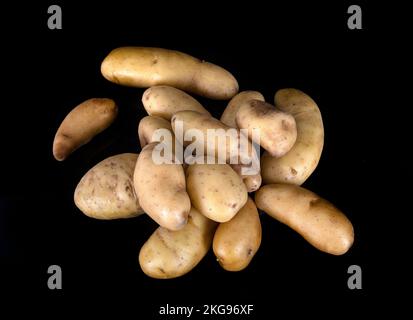 Ratte potato in front of black background Stock Photo