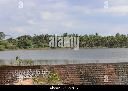 Reservoir of a dam that collects water from canals and provide stored water for agriculture with coconut farms in the background Stock Photo