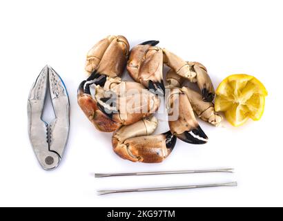 fresh langoustines in studio Stock Photo