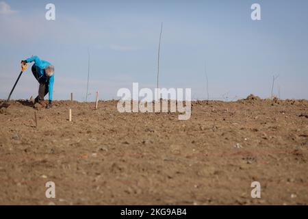 Senior woman using a shovel on dry, arid and dusty soil during a planting activity. Stock Photo