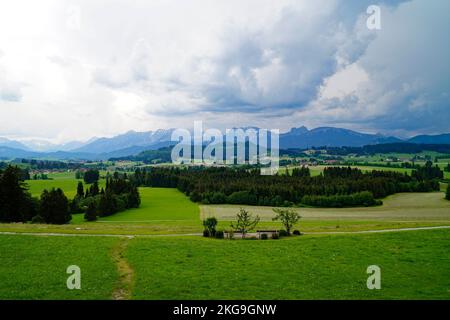 the lush green alpine meadows of the scenic Rueckholz district in the Bavarian Alps in Ostallgaeu, Bavaria, Germany on a rainy summer day Stock Photo