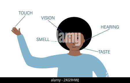 Set of human anatomy organs, biology, body structure. Human organs Stock Vector