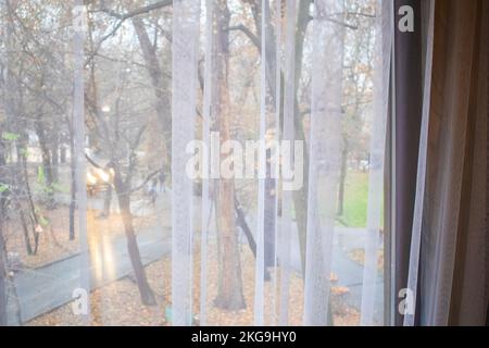 transparent tulle on the background of a window with a landscape of autumn Stock Photo