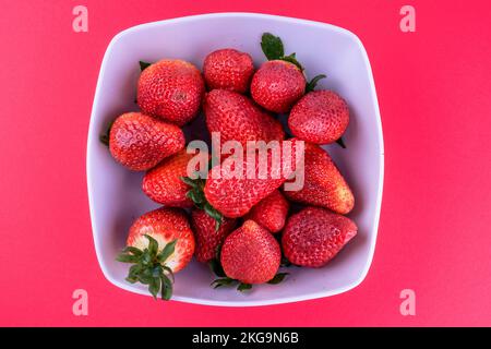 Strawberries in a bowl on red background. Stock Photo